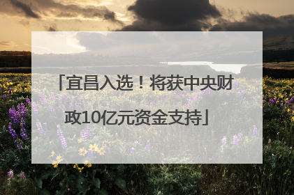 宜昌入选！将获中央财政10亿元资金支持
