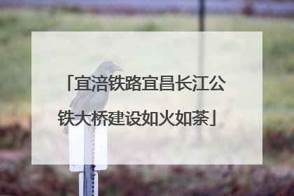 宜涪铁路宜昌长江公铁大桥建设如火如荼
