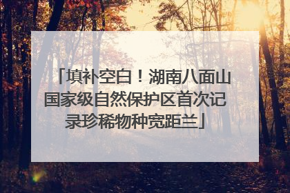 填补空白！湖南八面山国家级自然保护区首次记录珍稀物种宽距兰