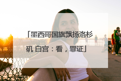 墨西哥国旗飘扬洛杉矶 白宫：看，罪证