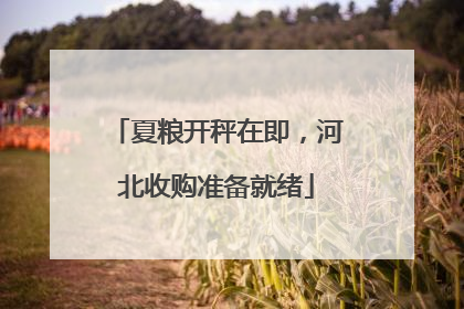 夏粮开秤在即，河北收购准备就绪