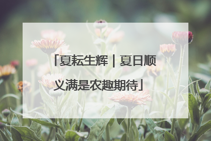 夏耘生辉｜夏日顺义满是农趣期待