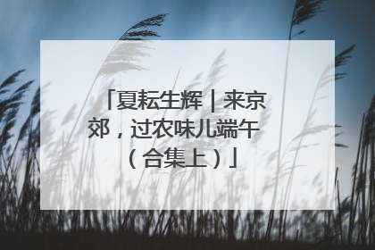夏耘生辉｜来京郊，过农味儿端午（合集上）