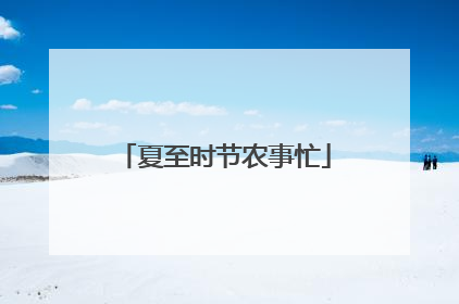 夏至时节农事忙