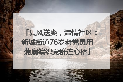 夏风送爽，温情社区：新城街道76岁老党员用蒲扇编织党群连心桥
