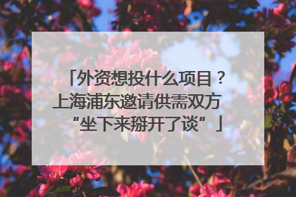 外资想投什么项目？上海浦东邀请供需双方“坐下来掰开了谈”