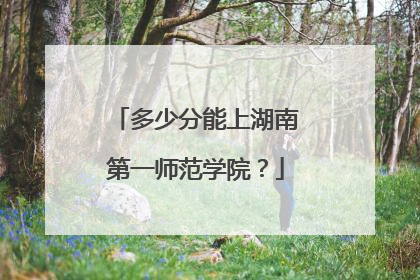 多少分能上湖南第一师范学院？