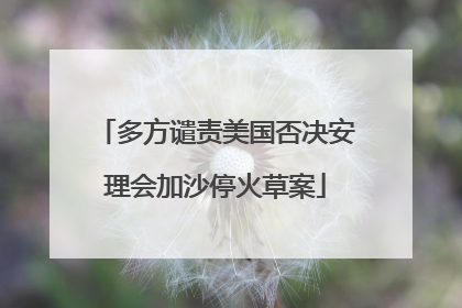 多方谴责美国否决安理会加沙停火草案