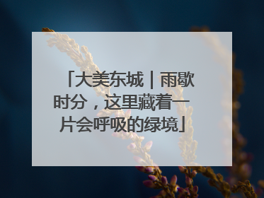 大美东城｜雨歇时分，这里藏着一片会呼吸的绿境