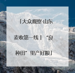 大众观察·山东麦收第一线丨“良种田”里产好粮