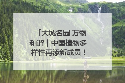 大城名园 万物和谐｜中国植物多样性再添新成员！它只在西藏墨脱