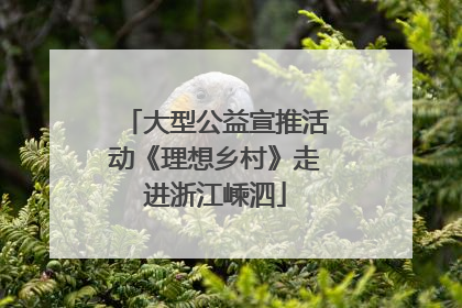 大型公益宣推活动《理想乡村》走进浙江嵊泗