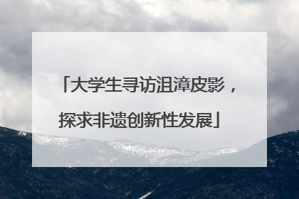 大学生寻访沮漳皮影，探求非遗创新性发展