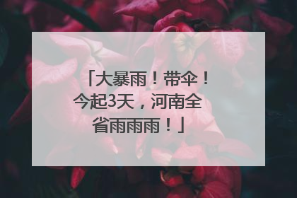 大暴雨！带伞！今起3天，河南全省雨雨雨！
