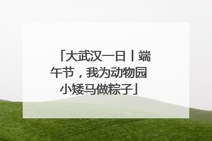 大武汉一日丨端午节，我为动物园小矮马做粽子