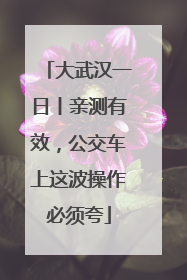 大武汉一日丨亲测有效，公交车上这波操作必须夸