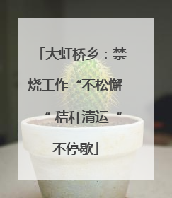 大虹桥乡：禁烧工作“不松懈“ 秸秆清运“不停歇