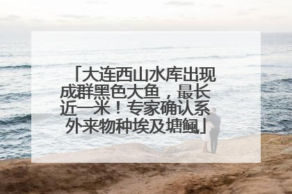大连西山水库出现成群黑色大鱼，最长近一米！专家确认系外来物种埃及塘鲺