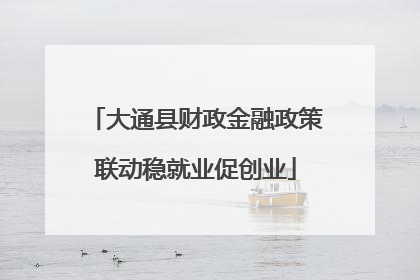 大通县财政金融政策联动稳就业促创业