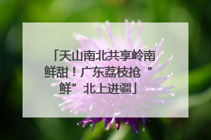 天山南北共享岭南鲜甜！广东荔枝抢“鲜”北上进疆