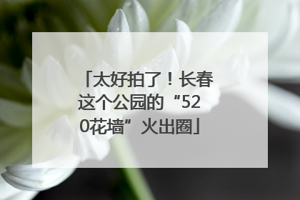太好拍了！长春这个公园的“520花墙”火出圈
