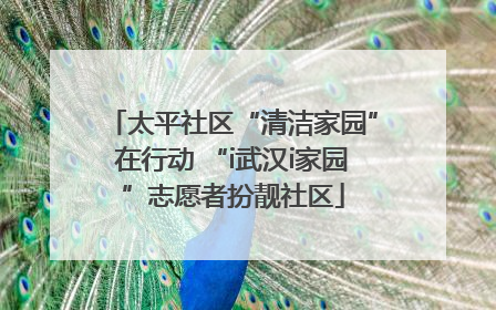 太平社区“清洁家园”在行动 “i武汉i家园”志愿者扮靓社区