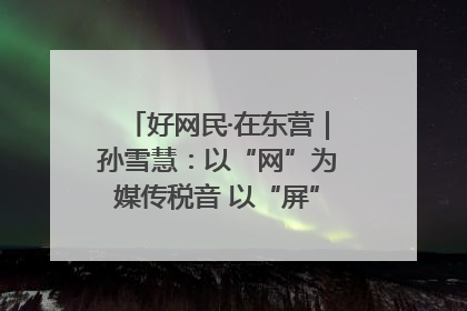 好网民·在东营｜孙雪慧：以“网”为媒传税音 以“屏”为介助发展