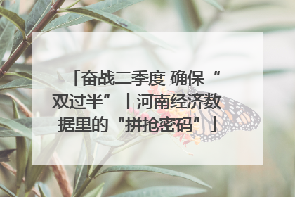奋战二季度 确保“双过半”丨河南经济数据里的“拼抢密码”