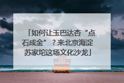 如何让玉巴达杏“点石成金”？来北京海淀苏家坨这场文化沙龙