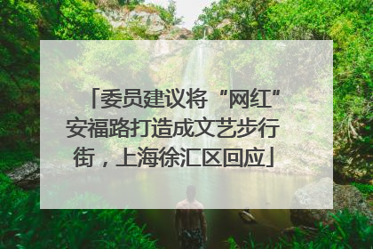 委员建议将“网红”安福路打造成文艺步行街，上海徐汇区回应