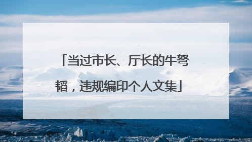 当过市长、厅长的牛弩韬，违规编印个人文集