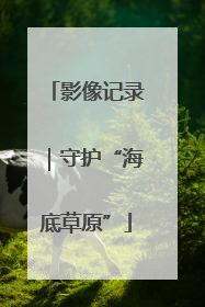 影像记录｜守护“海底草原”