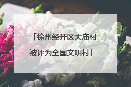 徐州经开区大庙村被评为全国文明村