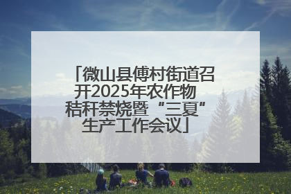 微山县傅村街道召开2025年农作物秸秆禁烧暨“三夏”生产工作会议