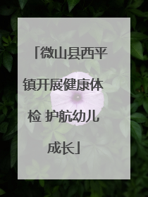 微山县西平镇开展健康体检 护航幼儿成长
