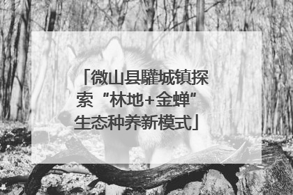 微山县驩城镇探索“林地+金蝉”生态种养新模式