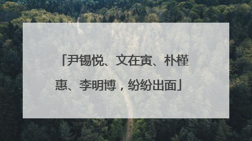 尹锡悦、文在寅、朴槿惠、李明博，纷纷出面
