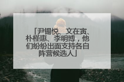 尹锡悦、文在寅、朴槿惠、李明博，他们纷纷出面支持各自阵营候选人