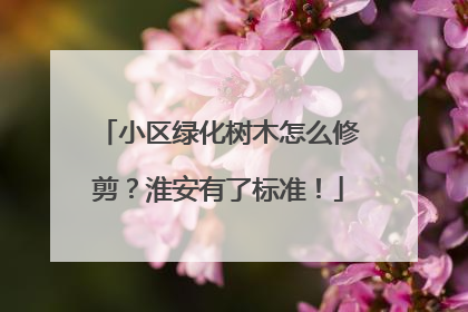 小区绿化树木怎么修剪？淮安有了标准！