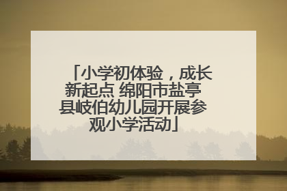 小学初体验，成长新起点 绵阳市盐亭县岐伯幼儿园开展参观小学活动