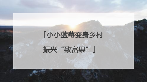 小小蓝莓变身乡村振兴“致富果”