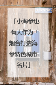 小海参也有大作为！烟台打造海参特色城市名片