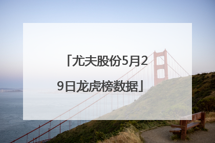 尤夫股份5月29日龙虎榜数据