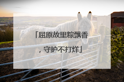 屈原故里粽飘香，守护不打烊