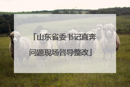 山东省委书记直奔问题现场督导整改