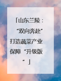 山东兰陵：“双向奔赴”打造蔬菜产业保障“升级版”