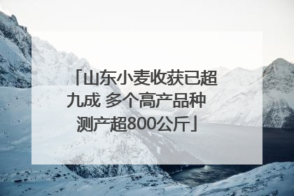 山东小麦收获已超九成 多个高产品种测产超800公斤