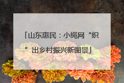 山东惠民：小绳网“织”出乡村振兴新图景