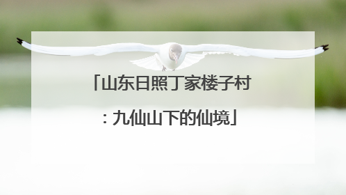 山东日照丁家楼子村：九仙山下的仙境