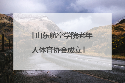 山东航空学院老年人体育协会成立